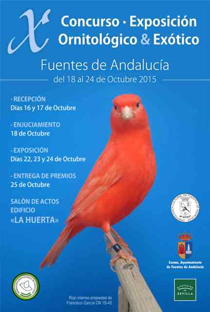 Cartel concurso ornitológico 2015.jpg
