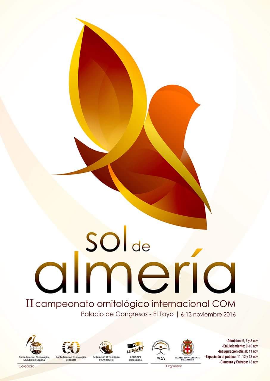 II Internacional Sol de Almeria.jpg