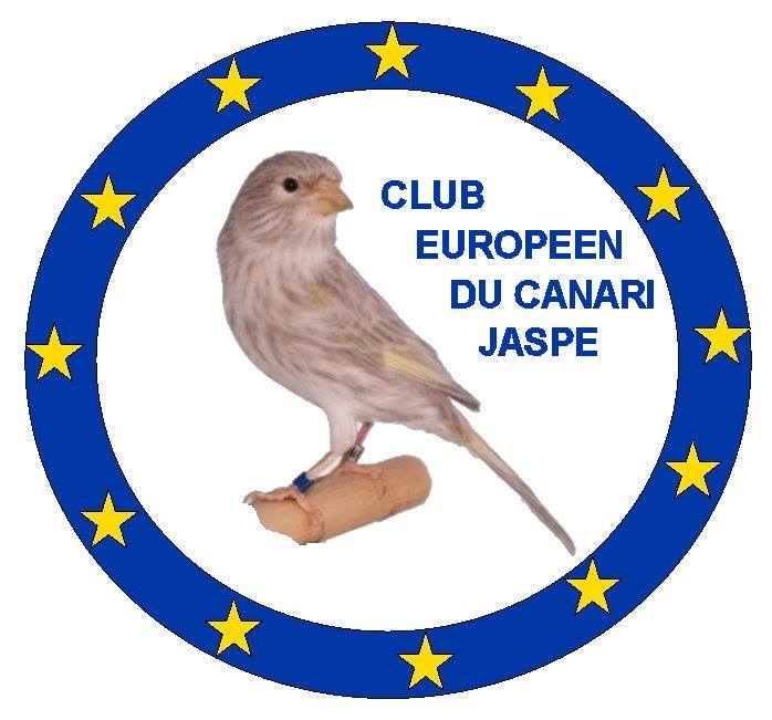 club europeo del Jaspe logo.jpg